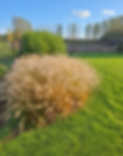 Gemini_Generated_Image_ecbmq9ecbmq9ecbm.png