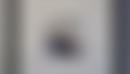 Wolverhampton art museum