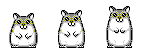 hamsty2.gif