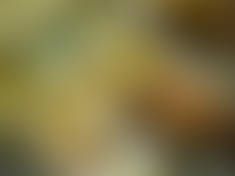 Famílias contraem mais crédito e endividamento sobe, aponta BC