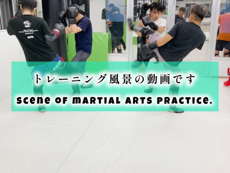 トレーニング風景のyoutube動画