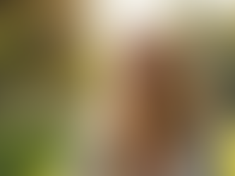 Mental Health Tips for LGBTQIA+ Adolescents and Adults