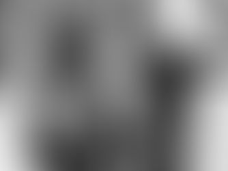 Ditadura, um conceito presente