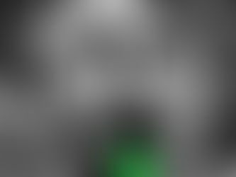 A disputa das ideias e a luta contra o autoritarismo, antes e depois das eleições