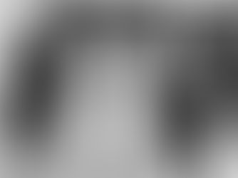 Elizabeth nos tristes trópicos da ditadura