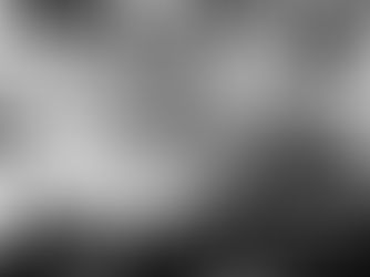 Esperando a tradução de Speaking of Flowers