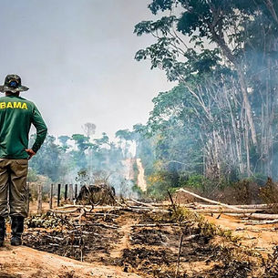 A política da técnica: um olhar sobre a “questão amazônica”