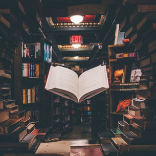 Desmembrando o livro: uma introdução