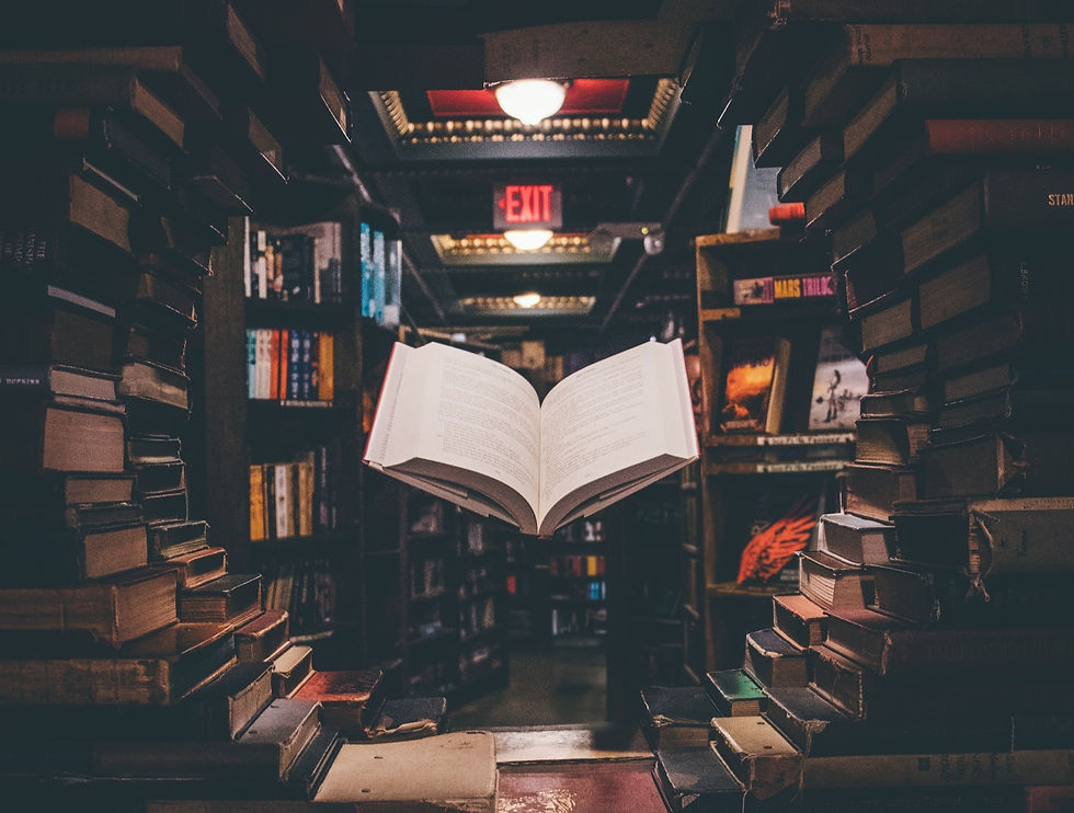 Desmembrando o livro: uma introdução