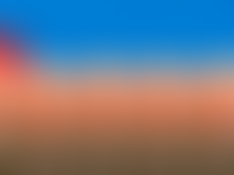 Um historiador às margens