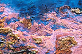 F1030022_scan_Labogravure_72DPI_30x20cm_edited.jpg