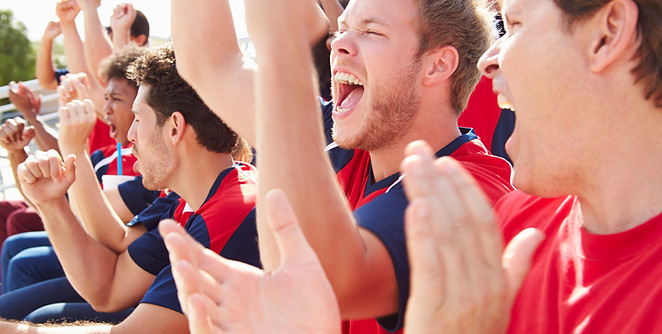 Fans in Sports Event