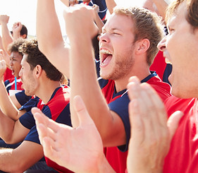 Fans in Sports Event