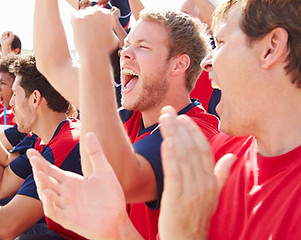 Fans in Sports Event