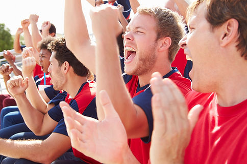 Fans in Sports Event