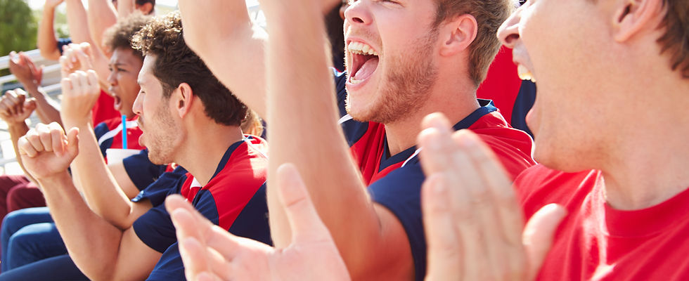 Fans in Sports Event