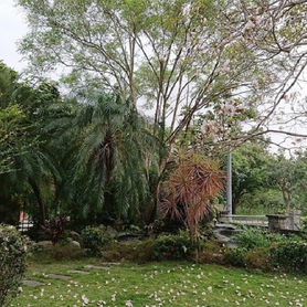 2020 Love you Love you - Everwide Photography Competition