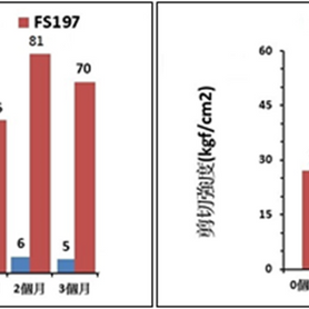 High Temperature Resistant Modified Silicone Adhesive