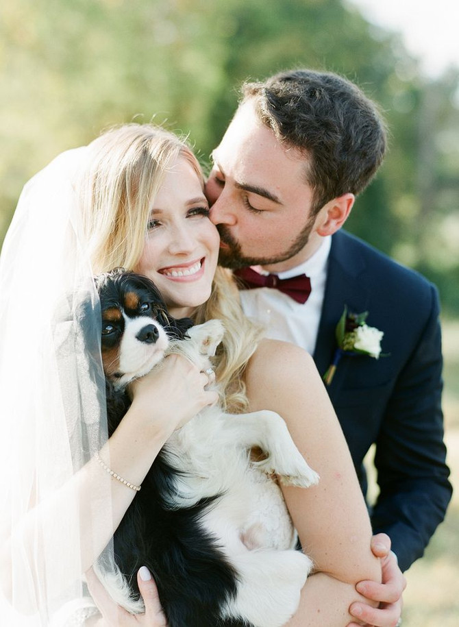 Details :: Dogs + I Do