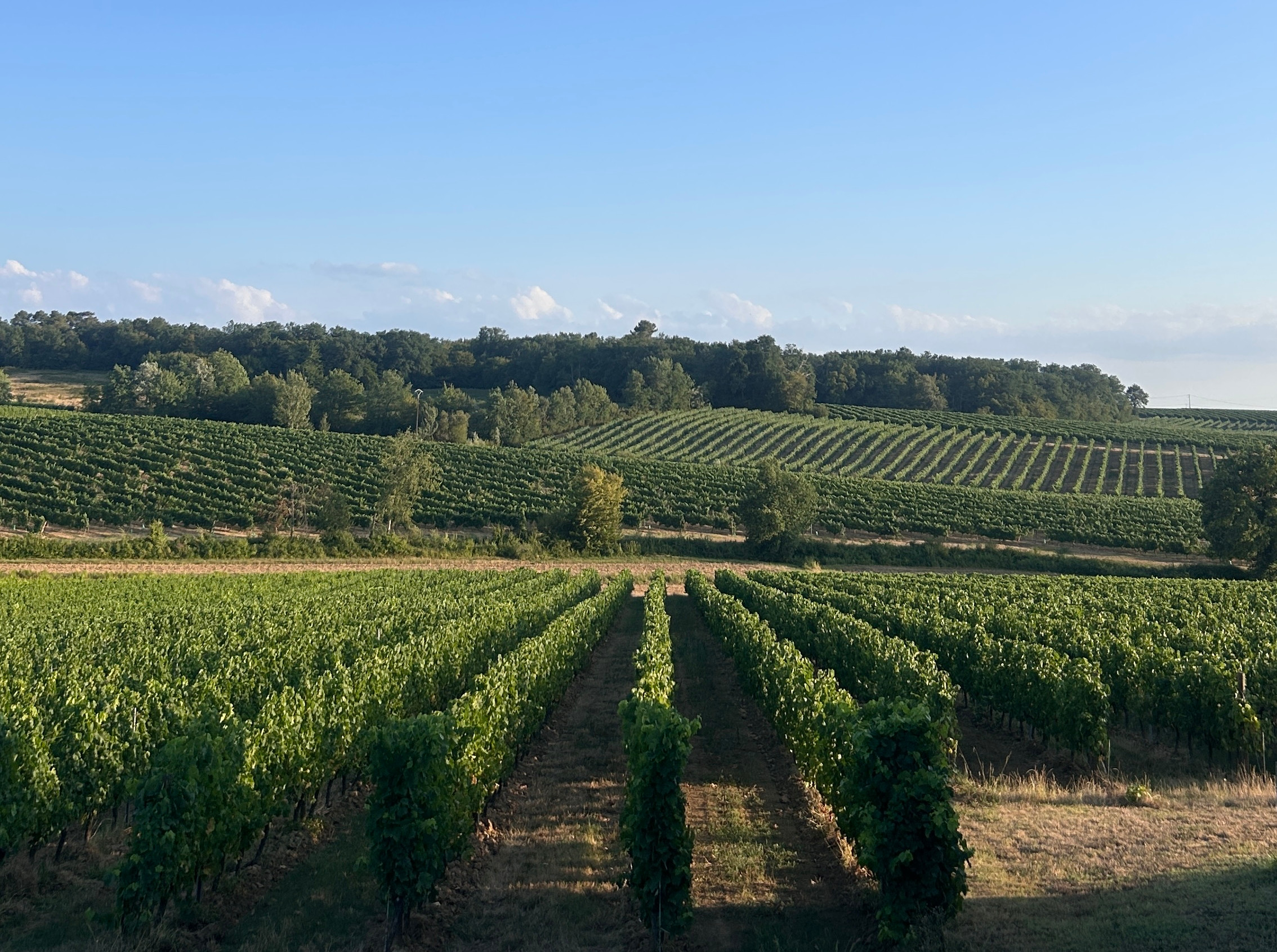 Chateau La Verriére, Bordeaux, Entre-deux-Mers