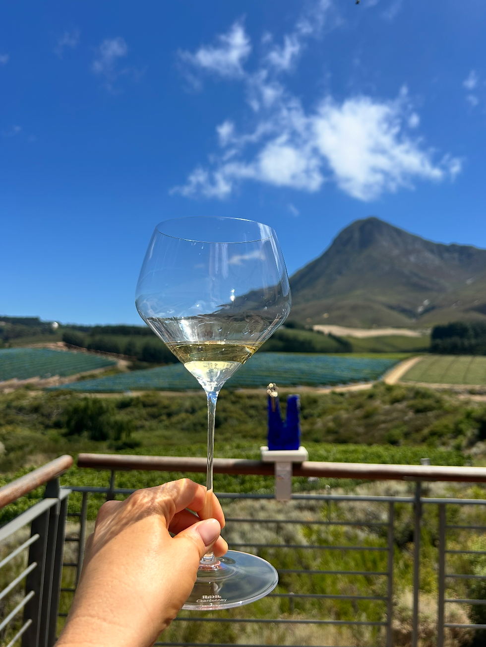 1.0 Is England becoming the new wine destination?