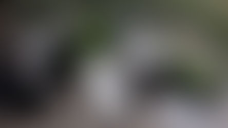 Monteux et l'Agriculture!