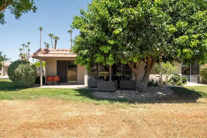 backdoor view of cathedral city rental home with lawn and large tree over outdoor seating area