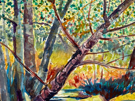 Discovering Southern California Through Thompson's Artistry