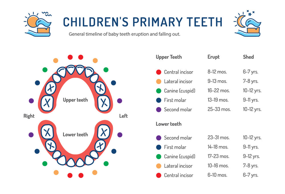 What You Need to Know about Baby Teeth and Teething
