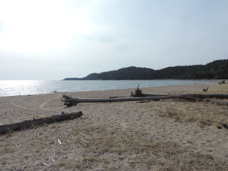 Beached