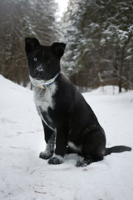 Alaska_5