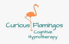 Curious Flamingos logo