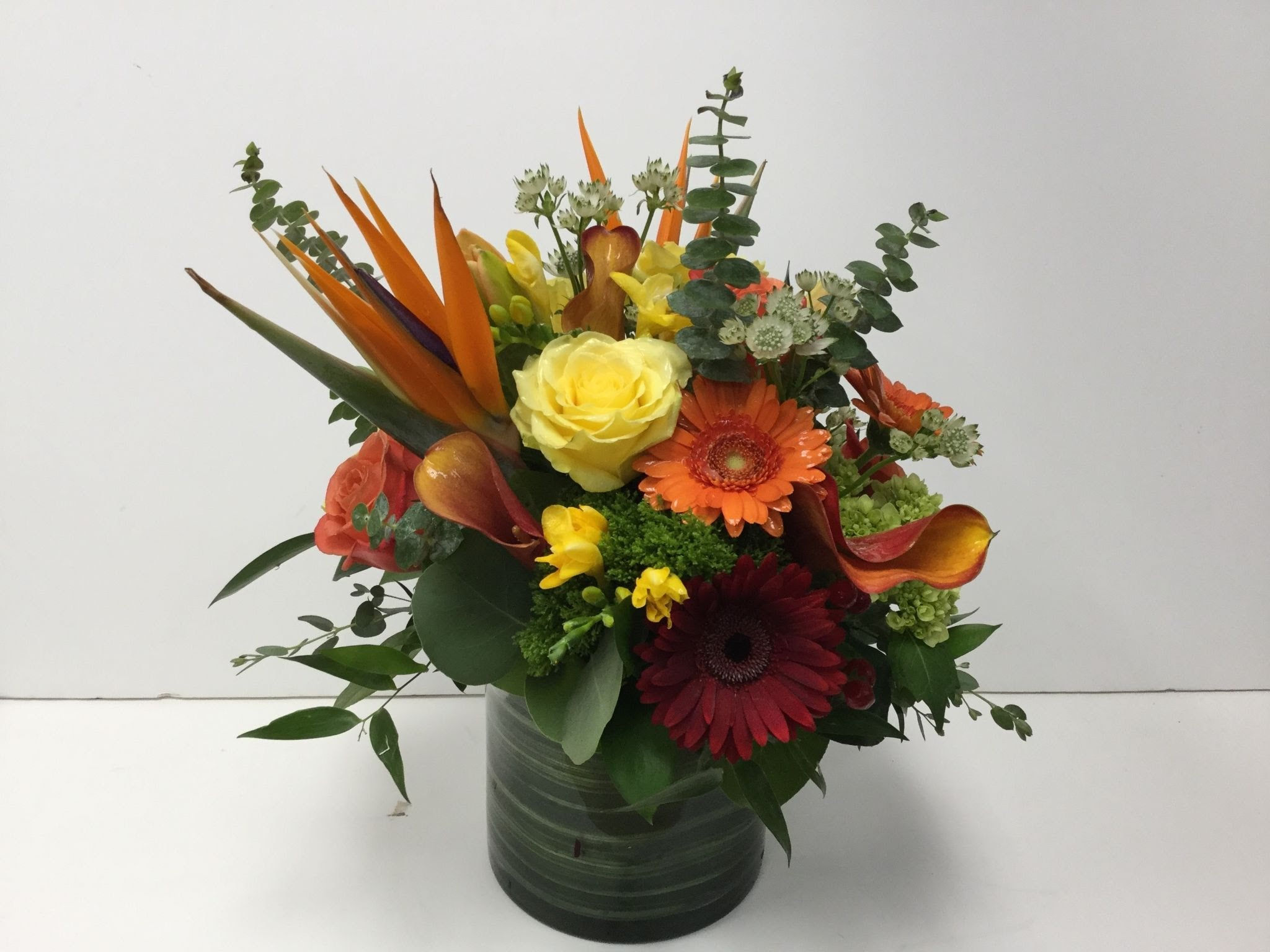 Harvest Splendor
