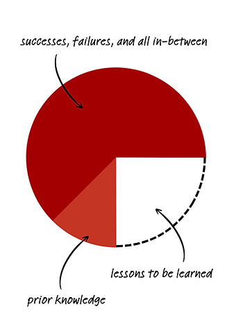 learning while doing.png