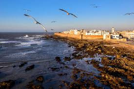 "Tranquillité au bord de l’Atlantique. #Essaouira #PauseNature"