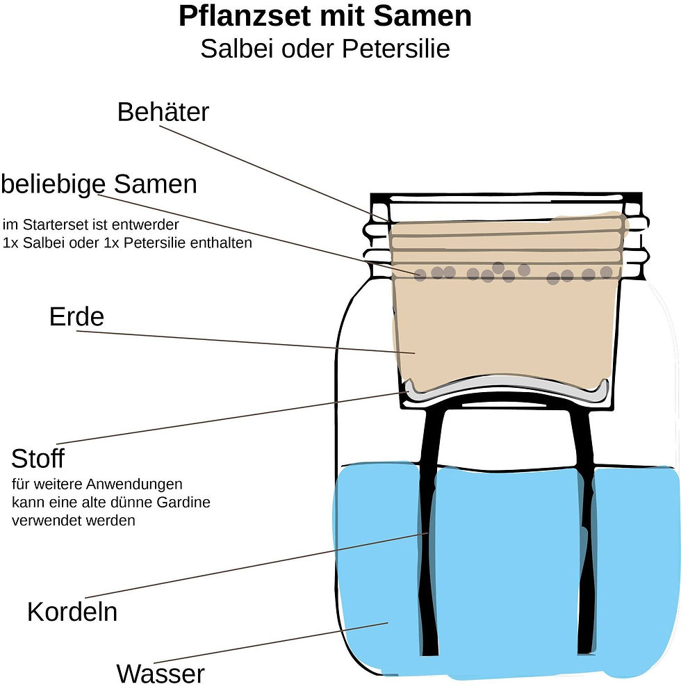 Thumbnail: Hoff
Parsley Herb Kit self watering planter 
