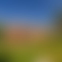 Pelouse : Une pratique obsolète