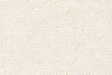 Washi_Image_1920.jpg