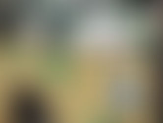 Vélez-Málaga pasará a formar parte del Consorcio de Transporte Metropolitano a partir de mayo