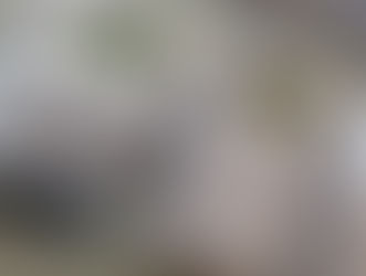 100.000 euros para aumentar la calidad de la red eléctrica de Vélez-Málaga, según informa Endesa