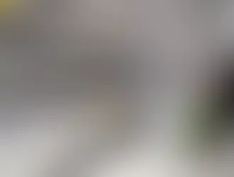 Huelga de transportistas: una plataforma convoca paros indefinidos desde el lunes 14 de noviembre