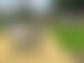 Inauguran una gran parque en Torre del Mar con recinto exclusivo para mascotas