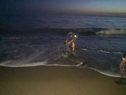 Un delfín muere en la orilla de una playa de la Axarquía