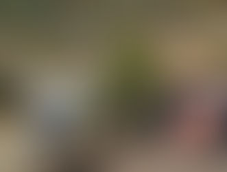 Organizan una batida para localizar el cuerpo de Dana Leonte este sábado en Arenas