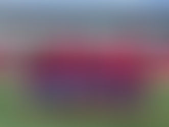 El Atlético Malagueño dejó al Torre del Mar sin la tercera plaza (0-2)