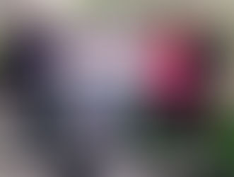 Vélez acoge en marzo la obra 'Bodas de zanngre', adaptación de García Lorca