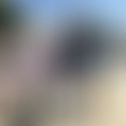 Finaliza la renovación integral del alumbrado LED del paseo marítimo de Torre del Mar y su entorno