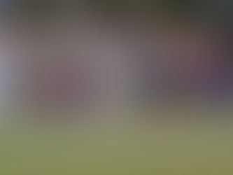 Rafa Navarro le da la victoria al Torre del Mar en Maracena (0-1)