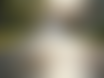 Discover Limited-Time Spring Powerwashing Deals