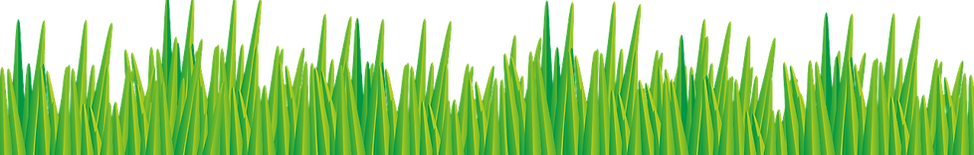 grass-346644_1280.png